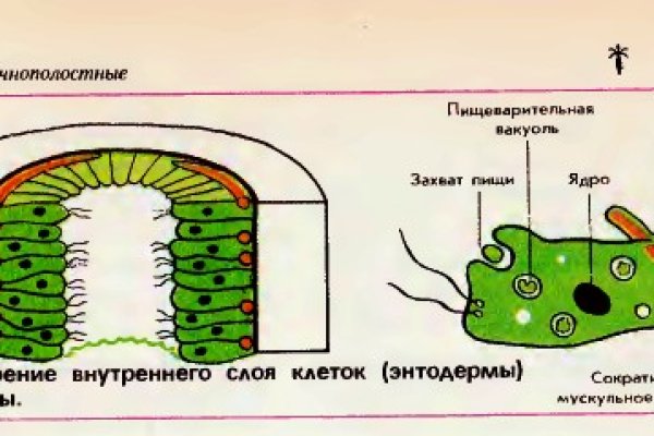 Ссылка омг на тор